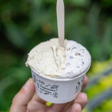 Ice cream in a cup with a wooden spoon, outdoors with lush green foliage.