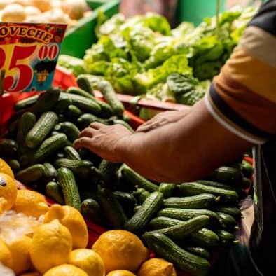 Vibrant fresh vegetables including cucumbers, lemons, and lettuce at Central de Abastos market.