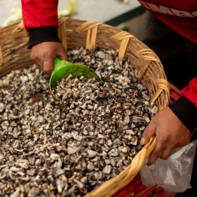 Fresh oyster shells at Central de Abastos, a bustling market for seafood and local produce.