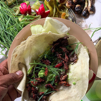 Screen Shot 2020-02-24 at 11.20.45 AM